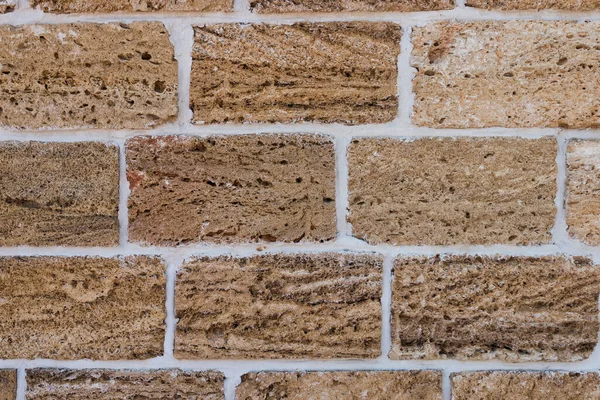 Building material texture. Bricks formed by seashells. Background, texture — Stock Photo, Image