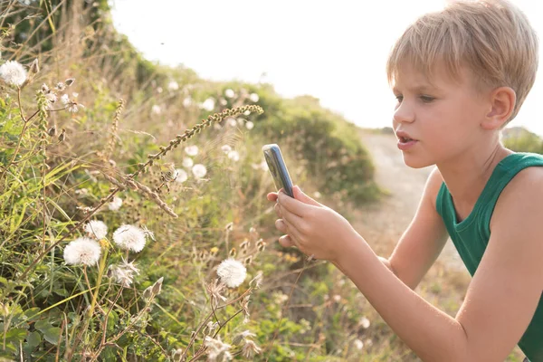 L'enfant prend des photos sur un téléphone portable. La fille s'intéresse à la biologie. Le garçon examine l'araignée. L'enfant a trouvé une toile d'araignée et une araignée et fait des gros plans. Belle peinture d'été — Photo