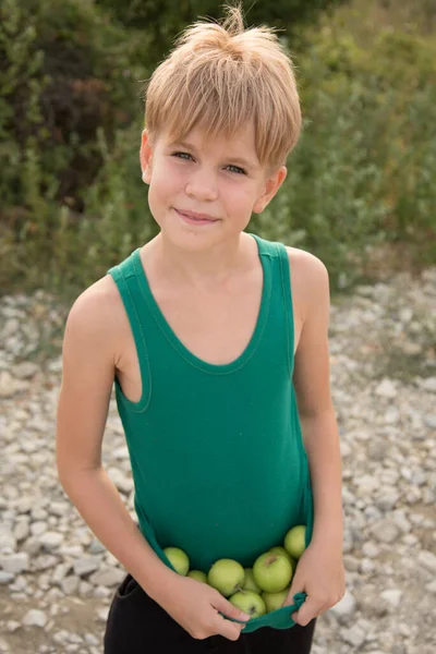 El niño sostiene las manzanas cosechadas en sus manos. Manzanas verdes se encuentran en la ropa de los niños. Verano en el pueblo. Hermosa rubia con corte de pelo corto. Un chico lindo recogió manzanas. Alimentación saludable — Foto de Stock