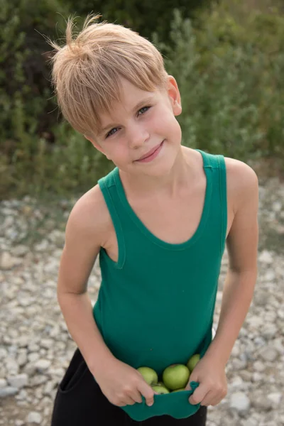 El niño sostiene las manzanas cosechadas en sus manos. Manzanas verdes se encuentran en la ropa de los niños. Verano en el pueblo. Hermosa rubia con corte de pelo corto. Un chico lindo recogió manzanas. Alimentación saludable — Foto de Stock