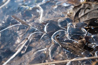 Buz yapısı. Mavi tonda soyut illüstrasyon. Arka plan, donmuş su dokusu. Pencereye buzlu çizimler