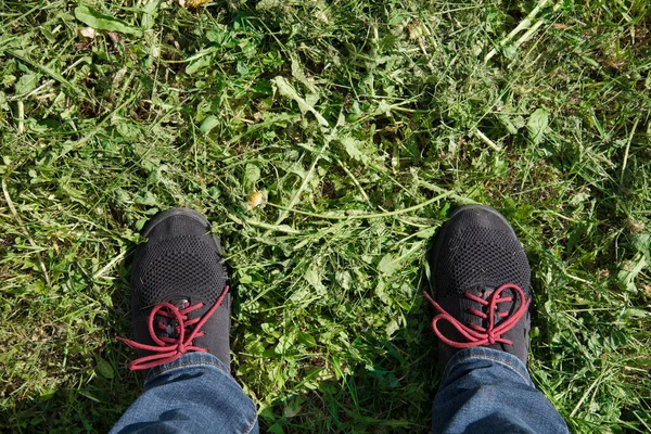 Vista superior de las propias piernas. Patas calzadas en zapatillas de tela negra. Un hombre está parado sobre la hierba recién cortada. Vaqueros y dientes de león — Foto de Stock