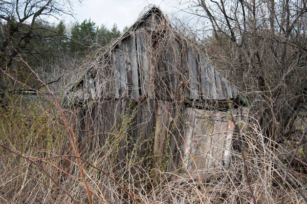 Egy régi elhagyatott ház, tele bokrokkal. Az elhagyás és a haszontalanság fogalma — Stock Fotó