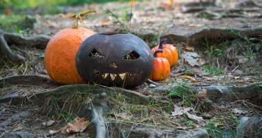 Cadılar Bayramı balkabağı kilden yapılır. Ağaç köklerinin arka planında korkunç korkunç bir balkabağı