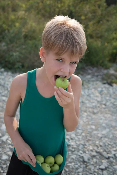 Dítě šťastně jí zelená jablka. Dívka drží v šatech trhaná mladá jablka. Chlapec ve vesnici. Letní dovolená, potěšení z přírody — Stock fotografie