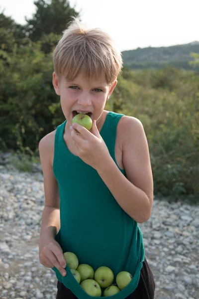 El niño come felizmente las manzanas verdes. La chica está sosteniendo manzanas jóvenes desplumadas en su ropa. Un chico en el pueblo. Vacaciones de verano, placer de la naturaleza — Foto de Stock