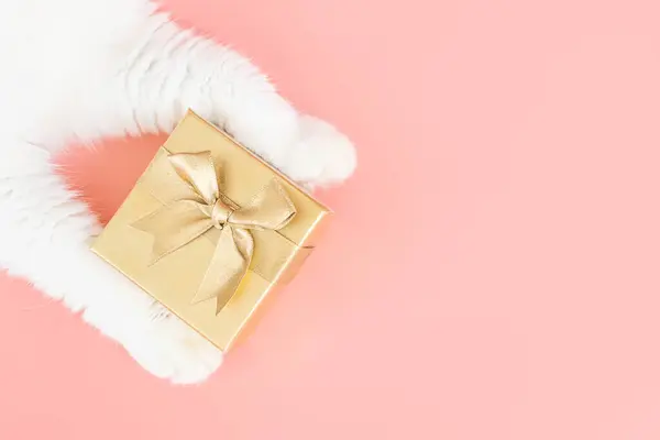 Biały Kot Łapa Złoty Prezent Pudełko Różowym Tle Nowy Rok — Zdjęcie stockowe