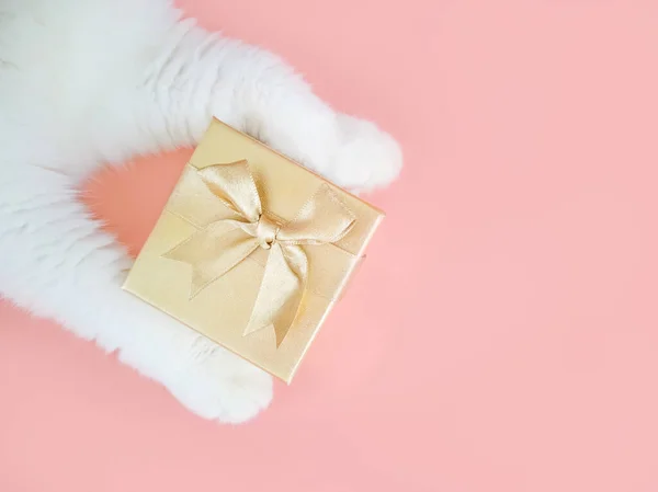 Biały Kot Łapa Złoty Prezent Pudełko Różowym Tle Nowy Rok — Zdjęcie stockowe