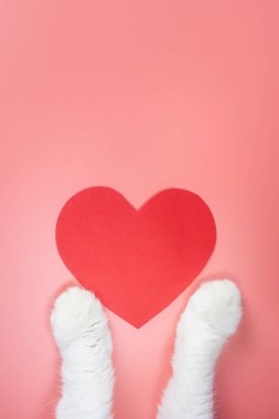 Kedi patileri ve pembe arka planda kağıt kırmızı kalp. Sevimli hayvan sevgisi konsepti. Üst görünüm, minimalizm, kopyalama alanı.