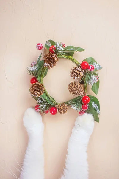 Katzenpfoten Und Weihnachtskranz Auf Hellem Hintergrund Niedliches Konzept Für Weihnachten — Stockfoto