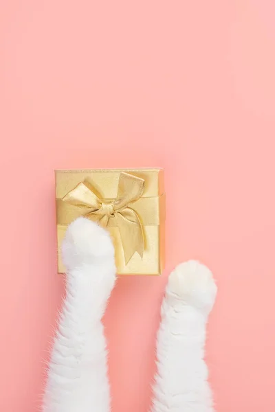 White cat paw and golden gift box on pink background. New year, christmas, holiday and pets concept. Minimalism, top view, copy space.	