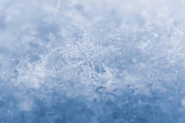 Kar taneleri yakın plan. Makro fotoğraf. Kış kavramı, soğuk, doğanın güzelliği. Boşluğu kopyala.