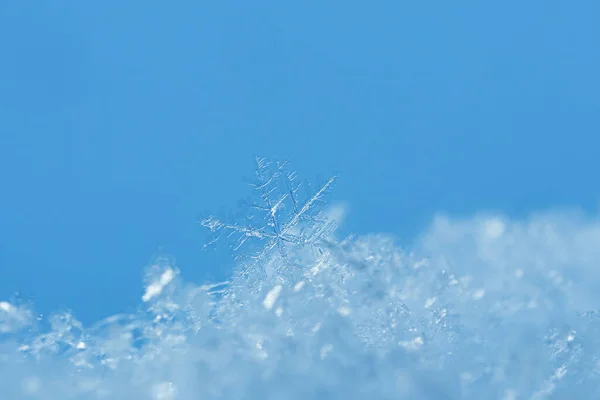 Copos Nieve Cerca Foto Macro Concepto Invierno Frío Belleza Naturaleza — Foto de Stock