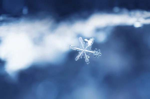 Snöflingor Närbild Makrofoto Begreppet Vinter Kyla Naturens Skönhet Kopiera Utrymme — Stockfoto