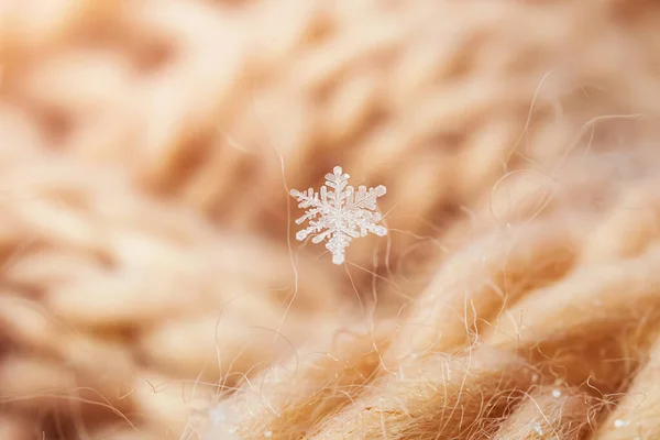 Κοντινές Νιφάδες Χιονιού Μακρο Φωτογραφία Έννοια Του Χειμώνα Κρύο Ομορφιά — Φωτογραφία Αρχείου