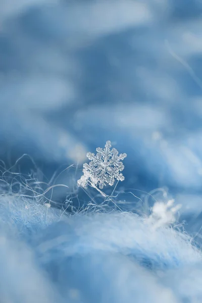 Schneeflocken Aus Nächster Nähe Makrofoto Das Konzept Von Winter Kälte — Stockfoto