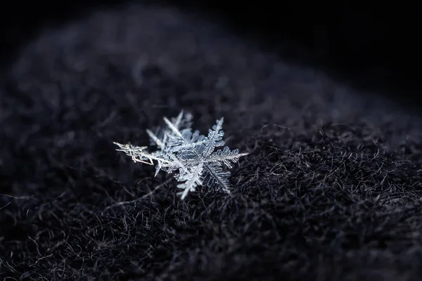 雪片的特写 宏观照片 冬天的概念 美丽的大自然 复制空间 — 图库照片