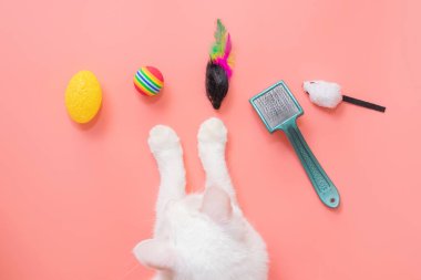 Beyaz kedi patileri ve evcil hayvanlar için aksesuarlar: top, fare, tarak. Pembe zemin, kopyalama alanı, üst görünüm. Evcil hayvan malzemeleri kavramı.