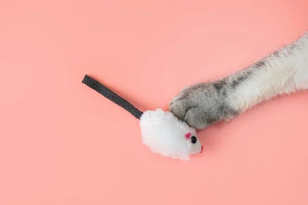 灰色の猫の爪とおもちゃのマウス ピンクの背景 コピースペース トップビュー ペットのためのゲームやエンターテイメントの概念 — ストック写真