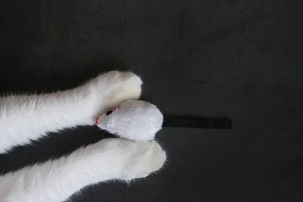 灰色の猫の爪とおもちゃのマウス 暗い背景 コピースペース トップビュー ペットのためのゲームやエンターテイメントの概念 — ストック写真