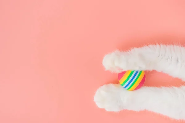 Patas Blancas Gato Una Pelota Juguete Fondo Rosa Espacio Para — Foto de Stock