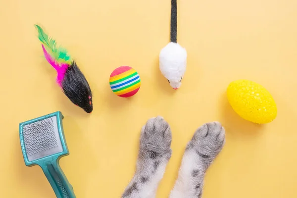 Gray cat paws and accessories for pets: ball, mice, comb. Yellow background, copy space, top view. Pet supplies concept.