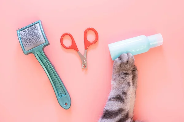 Cat Nail Clippers Claw Scissors Brush Combing Bottle Zoo Shampoo — Stock Photo, Image