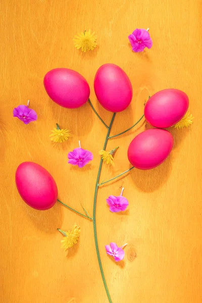 Parlak Şirin Paskalya Konsepti Yumurtalar Morumsu Çiçekler Çim Sapları Sarı — Stok fotoğraf
