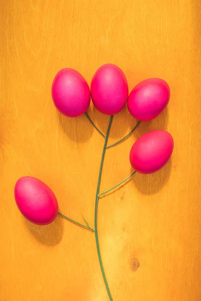 Bright Cute Easter Concept Eggs Painted Magenta Stems Grass Lie — Stok fotoğraf