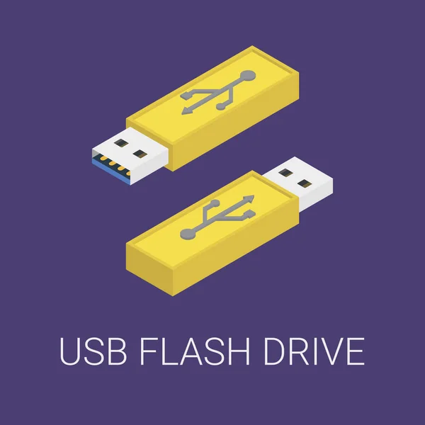 Vector Isometric Illustration Usb Flash Drive Minimalistic Volumetric Colors Year — Vettoriale Stock