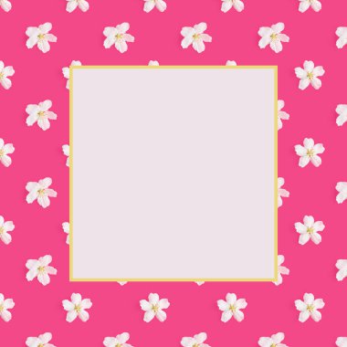 Parlak pembe ve açık arkaplanda bir elma ağacının beyaz çiçek deseni. Copspace. Yukarıdan bak. Bahar, tatil, doğum günü, kadınlar günü konsepti. Pankart için, kartpostal.