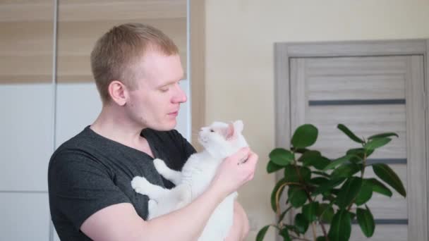 Ung Vit Blond Man Med Vit Katt Famnen Begreppet Kärlek — Stockvideo