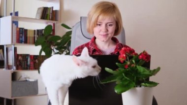 Kafkasyalı genç bir kadın dizüstü bilgisayarının başına oturur ve sıcak bir odada kedisiyle birlikte yazar. Masanın yanında beyaz kedi var. Arkasında - kitaplık Evden uzak çalışma kavramı.