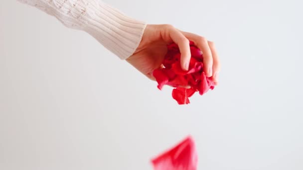 Czerwone Płatki Róż Spadają Ręki Kobiety Widok Dół Białe Tło — Wideo stockowe