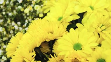 Çiçekçide taze sarı kasımpatılar ve çingeneler. Çiçek seçme ve satın alma kavramı, bir hediye, bir tatil.