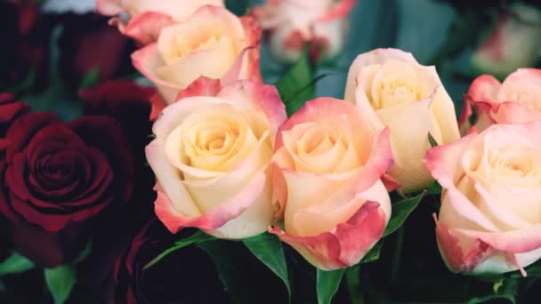 Çiçekçi Dükkanındaki Güller Diğer Bitki Çiçeklerin Arka Planına Karşı Çiçek — Stok video