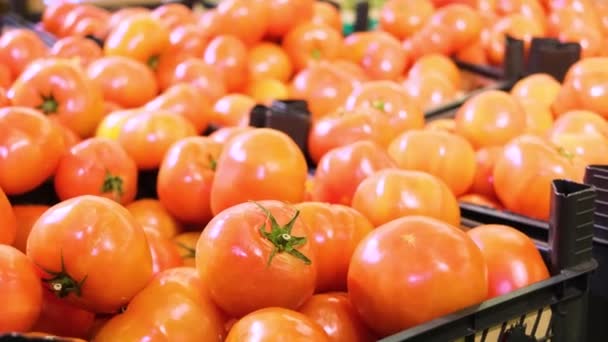 Érett Piros Paradicsom Egy Dobozban Van Egy Szupermarketben Zöldségvásárlás Értékesítés — Stock videók