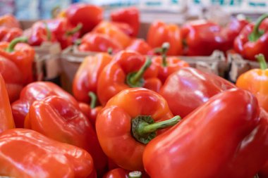 Olgun kırmızı biberler süpermarkette bir kutuda yatıyor. Sebze, satış konsepti.