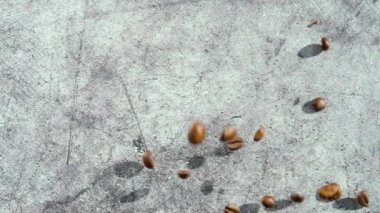 Kahve çekirdekleri beton zemine düşer. Kahve yapma kavramı.