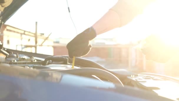 Controle Van Het Oliepeil Automotor Voor Het Vervangen Van Motorolie — Stockvideo