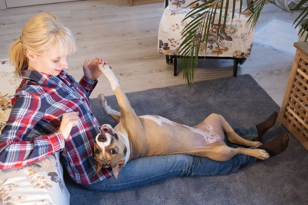 American Staffordshire Terrier Cachorro Mujer Sientan Suelo Habitación Concepto Mantener —  Fotos de Stock