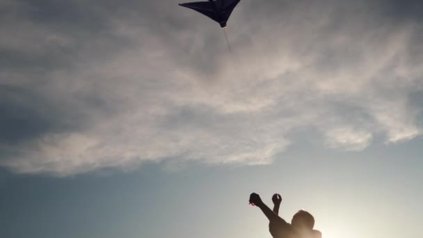 蓝色的风筝在日落的天空中翱翔 人控制风筝 自由的概念 夏天的爱好 自然界的娱乐 简约主义 文字空间 蓝色阴影 — 图库视频影像