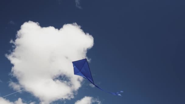 Papagaio Azul Voa Céu Conceito Liberdade Hobbies Verão Entretenimento Natureza — Vídeo de Stock