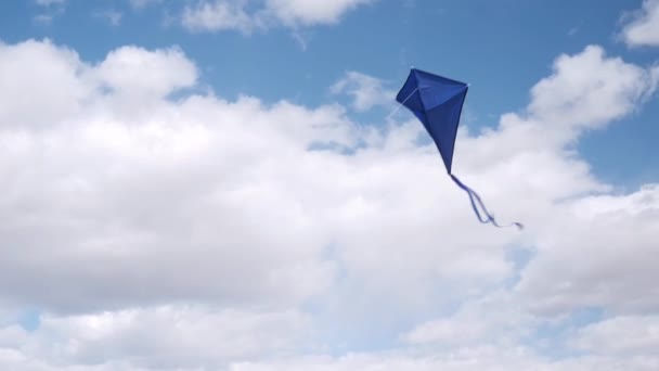 青い凧が空に舞い上がる 夏の趣味 自然の中でのエンターテイメントの概念 ミニマリズム テキストのためのスペース 青の色合い — ストック動画