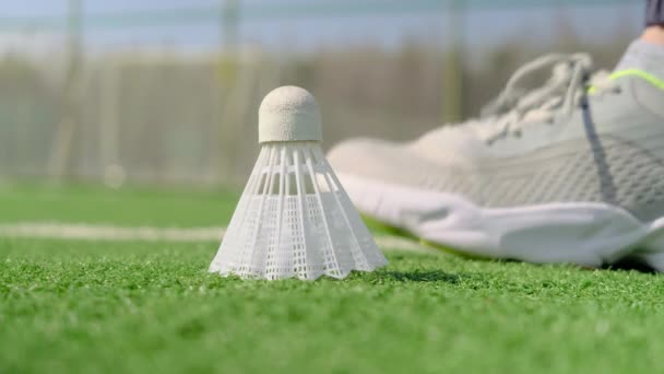 Badminton Shuttlecock Ligger Konstgräs Idrottsarena Kvinnan Går Och Tar Den — Stockvideo