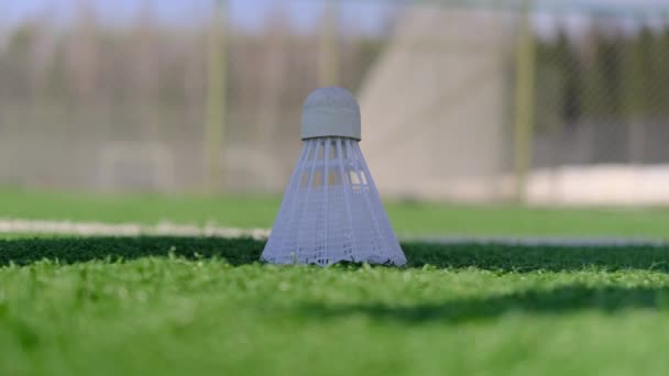 Бадмінтонський Човник Лежить Штучній Траві Спортивного Стадіону Жінка Йде Бере — стокове відео