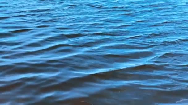 Smoothness Water Lake Ripples Wind Shades Blue Natural Background — Stock Video