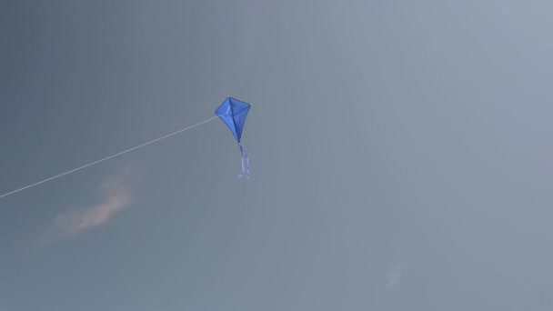 Cerf Volant Bleu Vole Dans Ciel Concept Liberté Passe Temps — Video