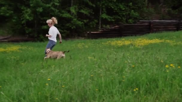 American Staffordshire Terrier Une Femme Marchent Jouent Activement Été Dans — Video