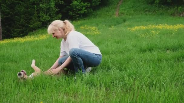 アメリカ人のスタッフォードシャー テリアと女性は森の近くの清掃で夏に積極的に歩き 犬歩行の概念 — ストック動画